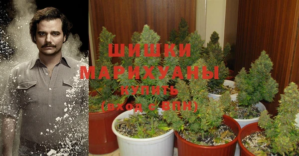 apvp Верея