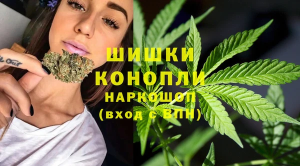 крисы Бронницы