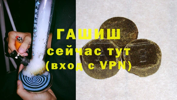a pvp Бородино