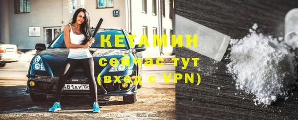 a pvp Бородино