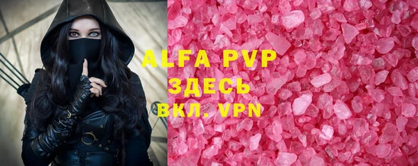 a pvp Бородино