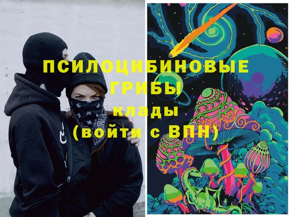 a pvp Бородино