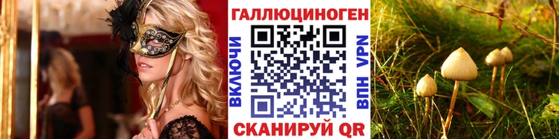 Галлюциногенные грибы Magic Shrooms  площадка Telegram  Грайворон 